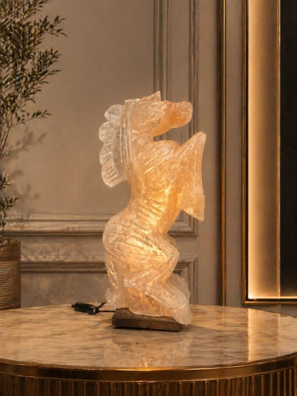 PMDC-HORSE SHAPE SALT LAMP