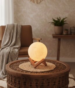 PMDC-Full Moon Himalayan Salt Lamp