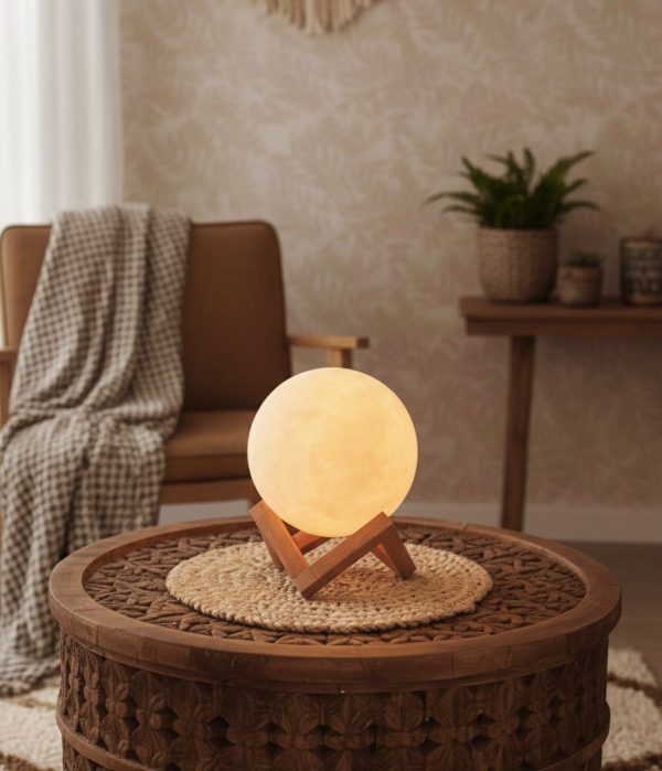 PMDC-Full Moon Himalayan Salt Lamp