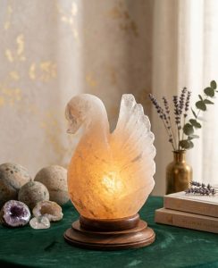 PMDC-DUCK SALT LAMP