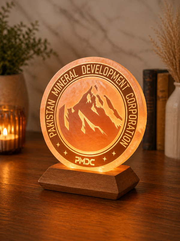 3D Plate Natural Himalayan Salt Lamp