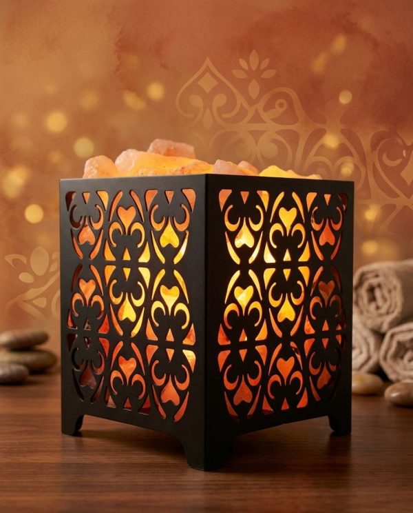 PMDC Salt Iron Baskets  Natural Air Purifier
